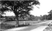 Henley Common, Fernhurst (5KB); click for larger version (51KB)